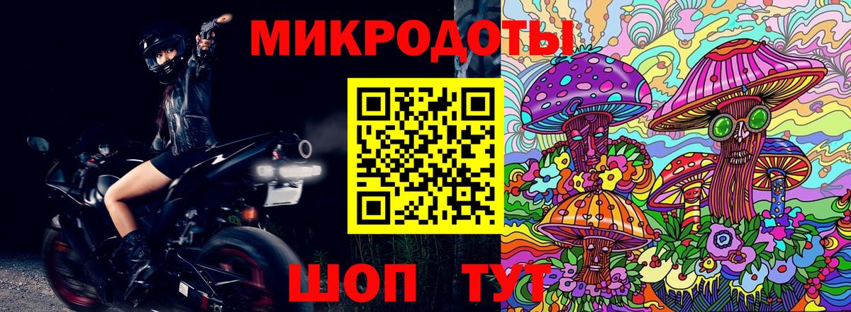 Курчалой  цены   Вход с VPN  Псилоцибиновые грибы Psilocybe 
